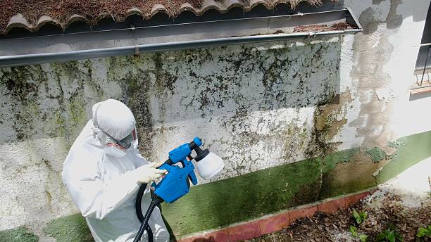 Trusted Mold Remediation service in Gore, VA - Cheap Mold Removal